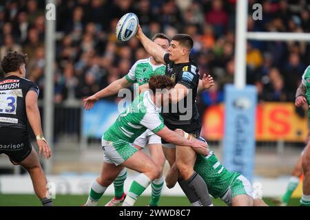 Exeter, UK. 23rd Mar, 2024. Dan John of Exeter Chiefs intercepts the ball during the Gallagher Premiership Rugby match between Exeter Chiefs and Newcastle Falcons Rugby at Sandy Park, Exeter, UK on 23 March 2024. Photo by Scott Boulton. Editorial use only, license required for commercial use. No use in betting, games or a single club/league/player publications. Credit: UK Sports Pics Ltd/Alamy Live News Stock Photo