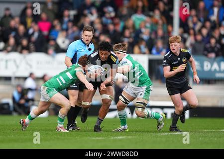 Exeter, UK. 23rd Mar, 2024. Greg Fisilau of Exeter Chiefs gets tackled by 2 Falcons during the Gallagher Premiership Rugby match between Exeter Chiefs and Newcastle Falcons Rugby at Sandy Park, Exeter, UK on 23 March 2024. Photo by Scott Boulton. Editorial use only, license required for commercial use. No use in betting, games or a single club/league/player publications. Credit: UK Sports Pics Ltd/Alamy Live News Stock Photo