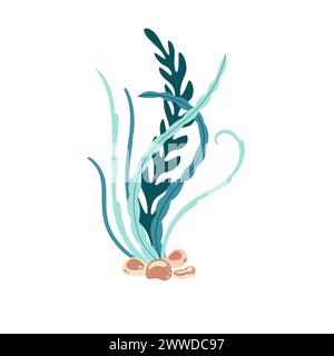 Seaweed. Hand drawn algae colorful seaweed. Underwater plants. Modern flat illustration. Vector illustration Stock Vector