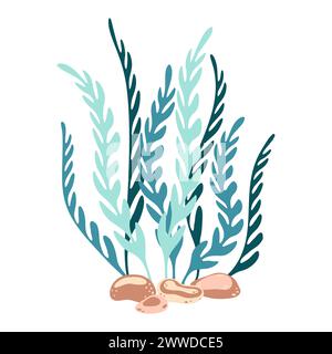 Seaweed. Hand drawn algae colorful seaweed. Underwater plants. Modern flat illustration. Vector illustration Stock Vector