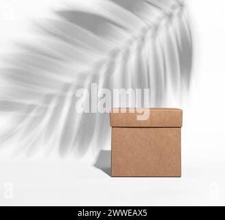 Kraft brown box, craft cardboard, palm leaf shadow. Stock Photo