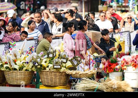 Antigua, Guatemala. 23rd Mar, 2024. Indigenous Mayan families make palm bouquets for Palm Sunday as devotees line up to pray at the vigil for Jesus at the Santuario San Felipe de Jesús, March 23, 2024 in Antigua, Guatemala. The opulent processions, detailed alfombras and centuries-old traditions attract more than 1 million people to the ancient capital city. Credit: Richard Ellis/Richard Ellis/Alamy Live News Stock Photo