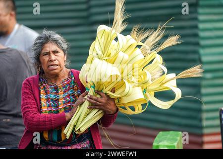 Antigua, Guatemala. 23rd Mar, 2024. Indigenous Mayan families make and sell palm bouquets in preparation for Palm Sunday outside the Santuario San Felipe de Jesús, March 23, 2024 in Antigua, Guatemala. The opulent processions, detailed alfombras and centuries-old traditions attract more than 1 million people to the ancient capital city. Credit: Richard Ellis/Richard Ellis/Alamy Live News Stock Photo