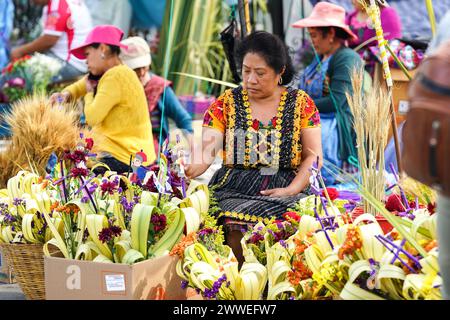 Antigua, Guatemala. 23rd Mar, 2024. Indigenous Mayan families make and sell palm bouquets in preparation for Palm Sunday outside the Santuario San Felipe de Jesús, March 23, 2024 in Antigua, Guatemala. The opulent processions, detailed alfombras and centuries-old traditions attract more than 1 million people to the ancient capital city. Credit: Richard Ellis/Richard Ellis/Alamy Live News Stock Photo