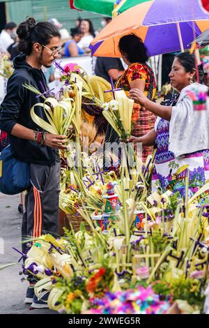 Antigua, Guatemala. 23rd Mar, 2024. Indigenous Mayan families make and sell palm bouquets in preparation for Palm Sunday outside the Santuario San Felipe de Jesús, March 23, 2024 in Antigua, Guatemala. The opulent processions, detailed alfombras and centuries-old traditions attract more than 1 million people to the ancient capital city. Credit: Richard Ellis/Richard Ellis/Alamy Live News Stock Photo