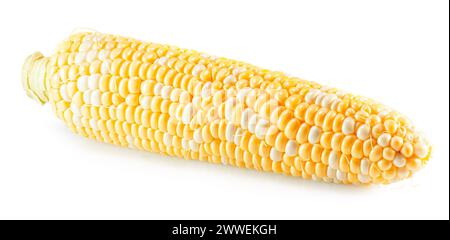 corn cob isolated on the white background. Clipping path. Stock Photo