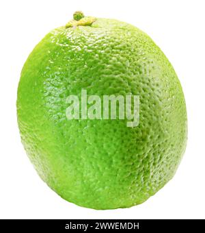 lime isolated on white background. Clipping path. Stock Photo