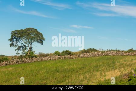 Muro de taipa (traditional old stone wall) in the countryside of Sao Francisco de Paula, South of Brazil Stock Photo