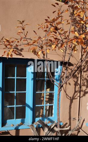 Blue windowed adobe with autumn tree in front Stock Photo - Alamy