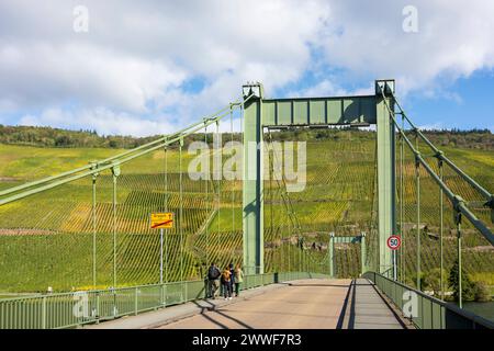 bridge Moselbrücke Wehlen, river Mosel Moselle, vineyard Bernkastel-Kues Mosel Rheinland-Pfalz, Rhineland-Palat Germany Stock Photo