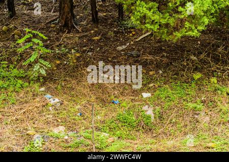 Forest ground with scattered trash highlighting environmental neglect and pollution, in South Korea Stock Photo