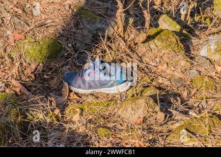 A single shoe abandoned on a mossy forest floor among rocks, blending with nature, in South Korea Stock Photo