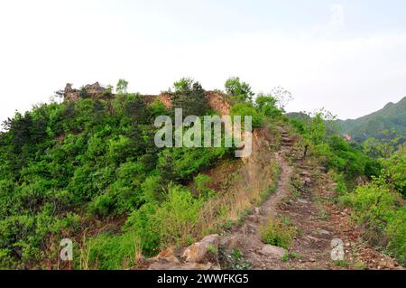 Ancient ecological wall, north China, elm ridge, the Great Wall Stock Photo