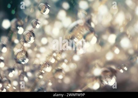 Abstract background with bokeh defocused lights and water drops. Beautiful sparkling lights, suitable for wallpaper, overlay layer, copy space. Stock Photo
