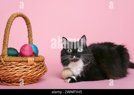 Black and white cat and easter eggs in wicker basket on pink background. Stock Photo
