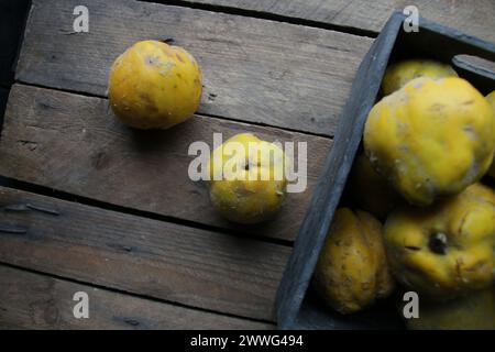 Fresh ripe organic quinces in a box on a wooden table. Stock Photo