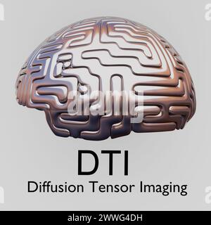 3D illustration of a human brain, titled as DTI - Diffusion Tensor Imaging. Stock Photo