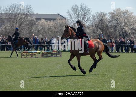 Sofia, Bulgaria - March 23, 2024: Horse Easter or Theodore Day in Bulgaria, also known as Horse Easter, celebrated on the first Saturday of Lent. A po Stock Photo