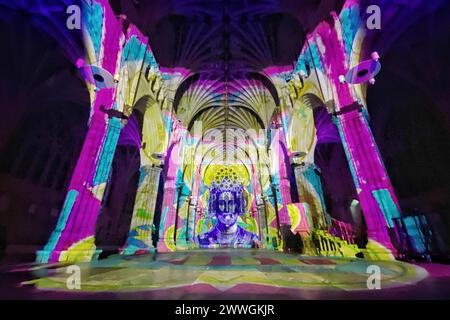 Exeter, Devon, UK. 09th Jan, 2024. immersive sound and light show