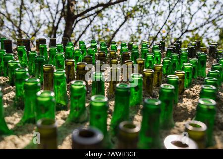 Pattern of glass bottles as decoration in a wall Stock Photo
