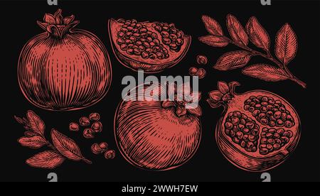 Collection of pomegranate with leaves isolated on black background. Hand drawn vector illustration Stock Vector