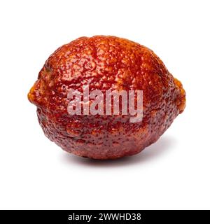 Single whole fresh Citrus limon Rosso, Red lemon, close up isolated on white background Stock Photo