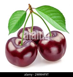 Sweet cherries with two leaves isolated on white background. Stock Photo