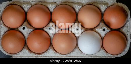 Fresh chicken eggs in a paper tray on the table, selective focus Stock Photo