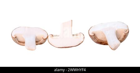 Front view set of shiitake mushroom halves is isolated on white background with clipping path. Stock Photo