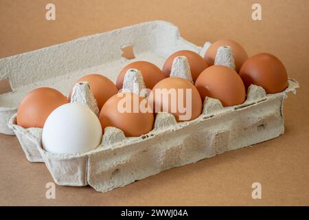 Fresh chicken eggs in a paper tray on the table, selective focus Stock Photo