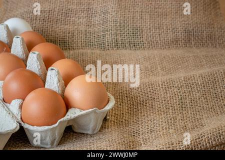 Fresh chicken eggs in a paper tray on the table, selective focus Stock Photo