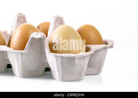 Fresh chicken eggs in eco-friendly cardboard package, close-up natural farm eggs Stock Photo