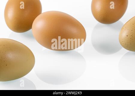 Fresh chicken eggs with reflective surface on white background Stock Photo