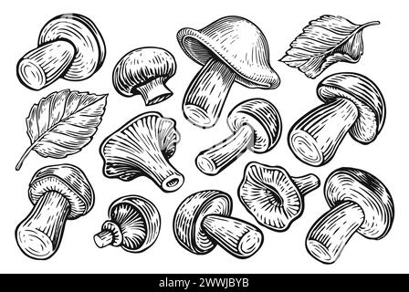 Set of mushrooms isolated on white background. Hand drawn sketch illustration Stock Vector