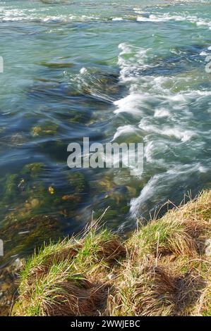 Moss covered stones in the river under the flowing water and the dry grass on the shore Stock Photo