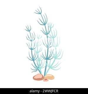 Seaweed. Hand drawn algae colorful seaweed. Underwater plants. Modern flat illustration. Vector illustration Stock Vector