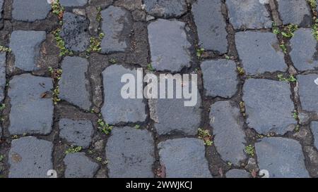Historic cobblestone texture, mossy elegance, urban serenity Stock Photo