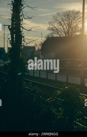 Railroad track in small city next to plants on a sunshiny day Stock Photo