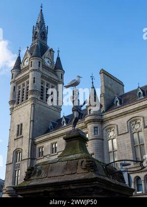 Herring Gull perched atop Mannie the Green statue on old fountain in front of Aberdeen Town House, Castlegate, Aberdeen, Aberdeenshire, Scotland, UK Stock Photo