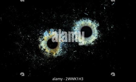 Description: Galaxy explosion effect of human eyes colliding on