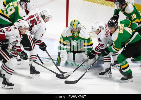 London, Canada. 24th Mar, 2024. The London Knights defeat the Guelph Storm 3-0 on the last game of the 2023-2024 season. Wild scramble in front of Michael Simpson (31) of London Knights during the second period. (EDITORIAL ONLY) Credit: Luke Durda/Alamy Live News Stock Photo