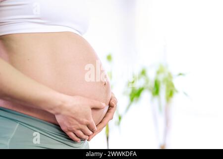 Description: Lateral view of midsection of unrecognizable woman gently holding her belly in final months of pregnancy. Pregnancy first trimester - wee Stock Photo