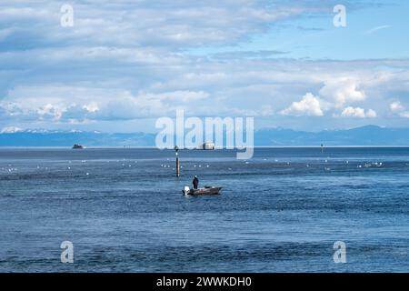 Beschreibung:  Angler auf Boot genießt den Blick über den See mit Schwänen, Dampfern und dem Alpenpanorama im Hintergrund. Konstanz, Bodensee, Baden-W Stock Photo