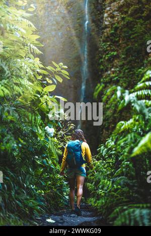 Description: Backpacker woman walking along fern overgrown hiking trail torwards picturesque, overgrown waterfall in the Madeiran rainforest. Levada o Stock Photo