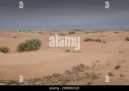 Tengri Desert in the Inner Mongolia Autonomous Region in China. Sunset picture with copy space for text Stock Photo