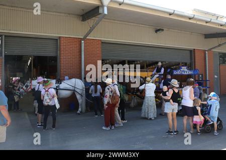 Sydney, Australia. 25th April 2024. The Coloured Digger event and Anzac ...