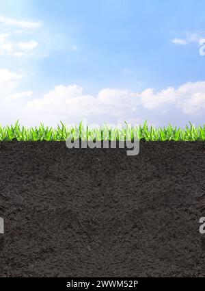 cross section of grass and soil against white background Stock Photo ...