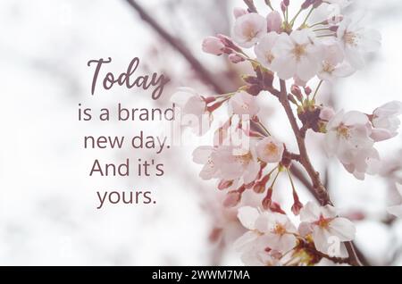 Flower picture with inspirational quotes Today is a brand new day. And its yours. Stock Photo