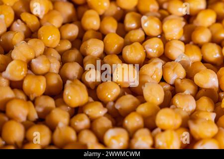 A close up of a large pile of yellow, dry, and slightly wet chickpeas. Concept of abundance and freshness, as the chickpeas are piled high and appear Stock Photo
