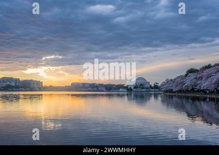 Jefferson Memorial framed by cherry blossoms at sunrise  in Wash Stock Photo